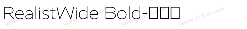RealistWide Bold字体转换